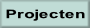 Projecten.